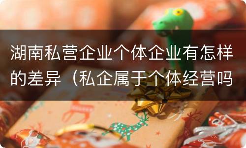 湖南私营企业个体企业有怎样的差异（私企属于个体经营吗）