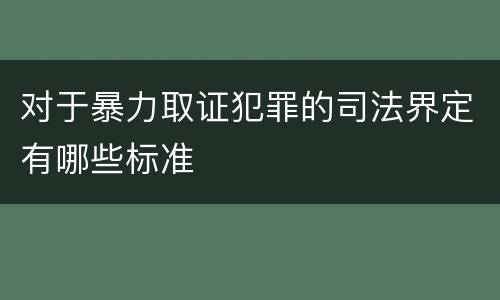 对于暴力取证犯罪的司法界定有哪些标准