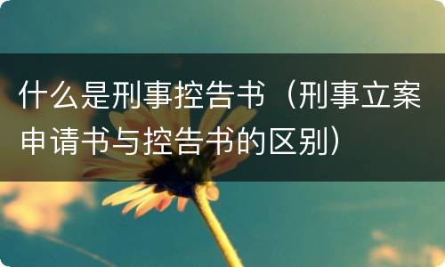 什么是刑事控告书（刑事立案申请书与控告书的区别）