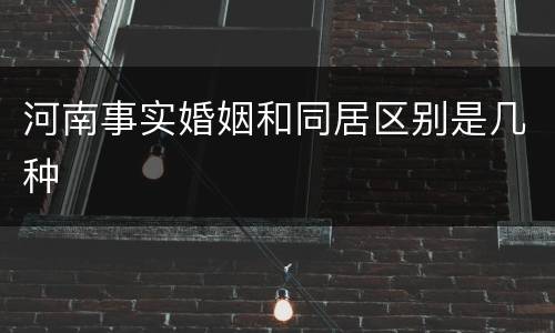 河南事实婚姻和同居区别是几种