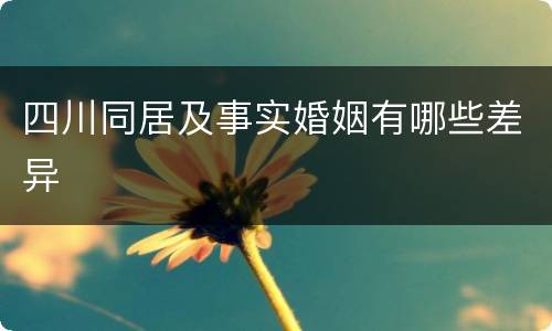 四川同居及事实婚姻有哪些差异
