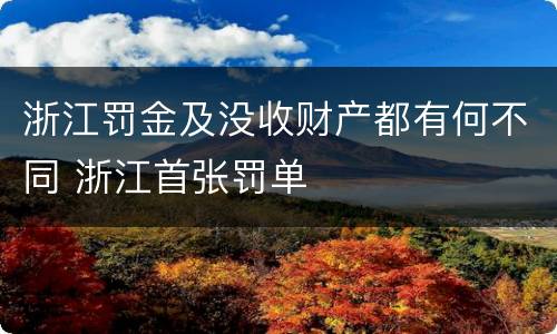 浙江罚金及没收财产都有何不同 浙江首张罚单