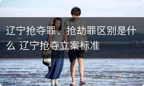 辽宁抢夺罪、抢劫罪区别是什么 辽宁抢夺立案标准