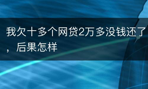 我欠十多个网贷2万多没钱还了，后果怎样