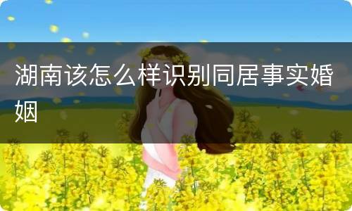 湖南该怎么样识别同居事实婚姻
