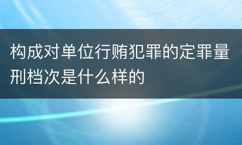 构成对单位行贿犯罪的定罪量刑档次是什么样的