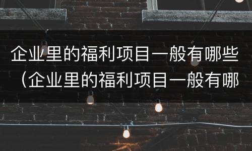 企业里的福利项目一般有哪些（企业里的福利项目一般有哪些类型）