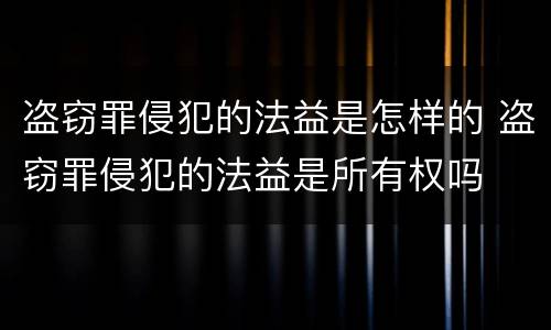 盗窃罪侵犯的法益是怎样的 盗窃罪侵犯的法益是所有权吗