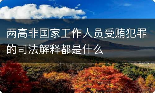 两高非国家工作人员受贿犯罪的司法解释都是什么