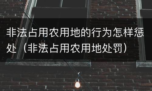 非法占用农用地的行为怎样惩处（非法占用农用地处罚）