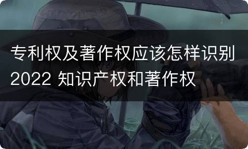 专利权及著作权应该怎样识别2022 知识产权和著作权