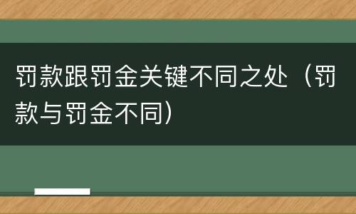 罚款跟罚金关键不同之处（罚款与罚金不同）