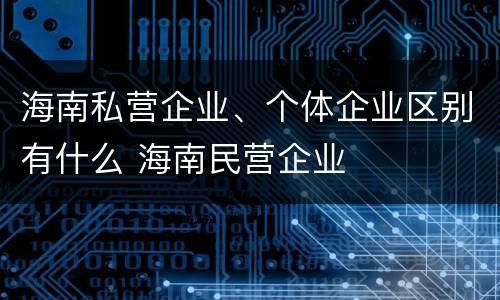 海南私营企业、个体企业区别有什么 海南民营企业