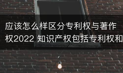 应该怎么样区分专利权与著作权2022 知识产权包括专利权和著作权吗