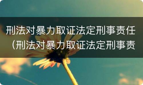 刑法对暴力取证法定刑事责任（刑法对暴力取证法定刑事责任的处罚）