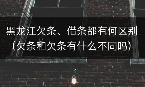 黑龙江欠条、借条都有何区别（欠条和欠条有什么不同吗）