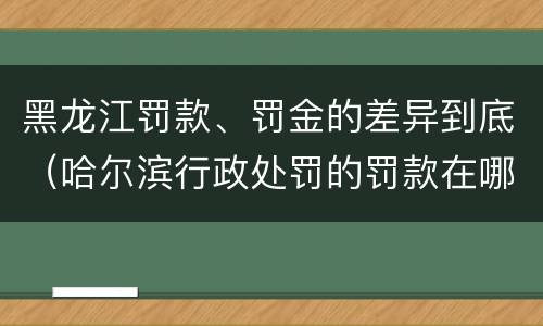 黑龙江罚款、罚金的差异到底（哈尔滨行政处罚的罚款在哪交）