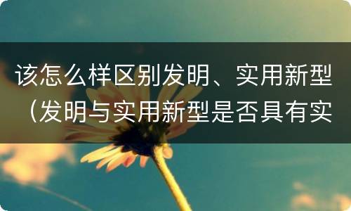 该怎么样区别发明、实用新型（发明与实用新型是否具有实用性）