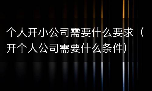 个人开小公司需要什么要求（开个人公司需要什么条件）