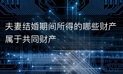 夫妻结婚期间所得的哪些财产属于共同财产