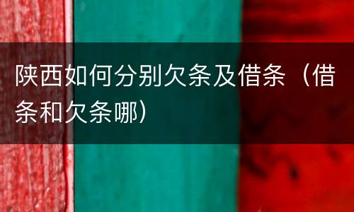 陕西如何分别欠条及借条（借条和欠条哪）