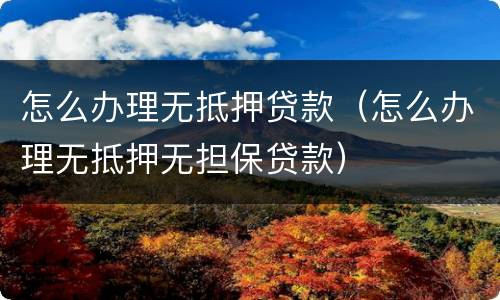 怎么办理无抵押贷款（怎么办理无抵押无担保贷款）
