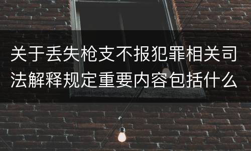 关于丢失枪支不报犯罪相关司法解释规定重要内容包括什么