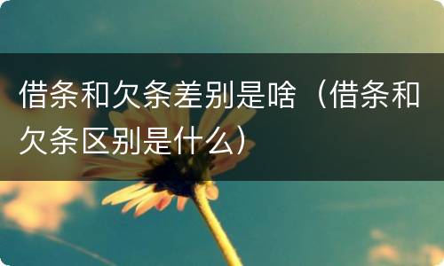 借条和欠条差别是啥（借条和欠条区别是什么）