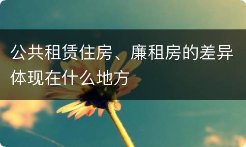 公共租赁住房、廉租房的差异体现在什么地方