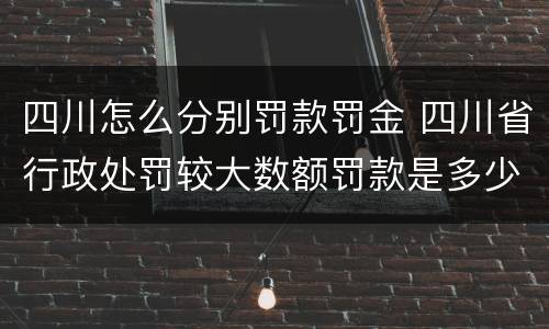 四川怎么分别罚款罚金 四川省行政处罚较大数额罚款是多少