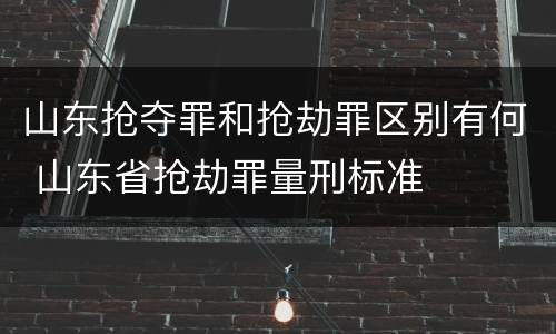 山东抢夺罪和抢劫罪区别有何 山东省抢劫罪量刑标准