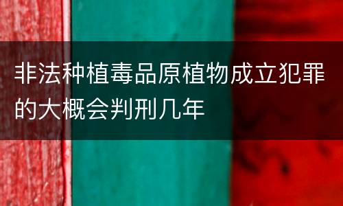 非法种植毒品原植物成立犯罪的大概会判刑几年