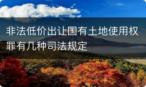 非法低价出让国有土地使用权罪有几种司法规定