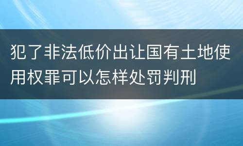 犯了非法低价出让国有土地使用权罪可以怎样处罚判刑