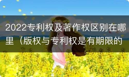 2022专利权及著作权区别在哪里（版权与专利权是有期限的）