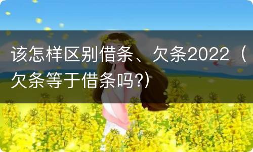 该怎样区别借条、欠条2022（欠条等于借条吗?）