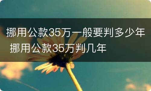 挪用公款35万一般要判多少年 挪用公款35万判几年