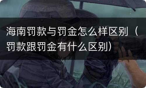 海南罚款与罚金怎么样区别（罚款跟罚金有什么区别）