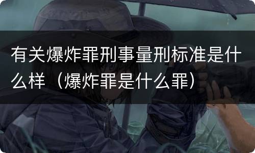 有关爆炸罪刑事量刑标准是什么样（爆炸罪是什么罪）