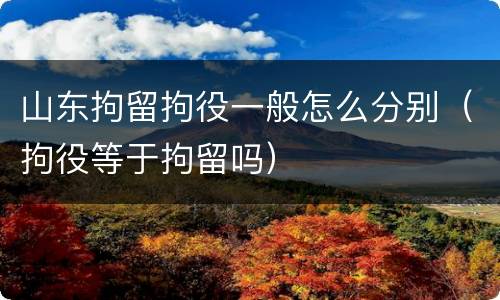 山东拘留拘役一般怎么分别（拘役等于拘留吗）