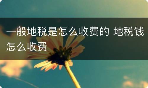 一般地税是怎么收费的 地税钱怎么收费