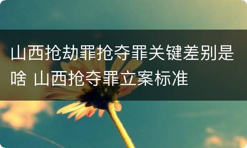 山西抢劫罪抢夺罪关键差别是啥 山西抢夺罪立案标准