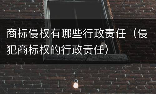 商标侵权有哪些行政责任（侵犯商标权的行政责任）