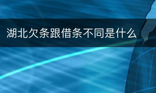 湖北欠条跟借条不同是什么