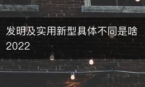 发明及实用新型具体不同是啥2022
