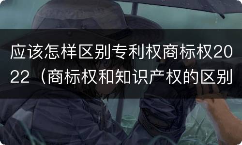 应该怎样区别专利权商标权2022（商标权和知识产权的区别）