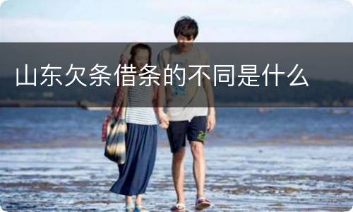 山东欠条借条的不同是什么
