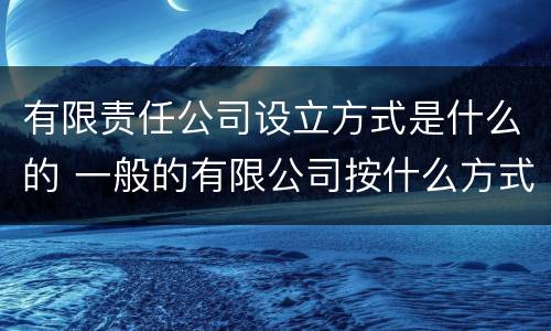 有限责任公司设立方式是什么的 一般的有限公司按什么方式设立