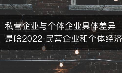 私营企业与个体企业具体差异是啥2022 民营企业和个体经济的区别