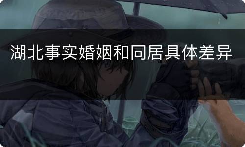 湖北事实婚姻和同居具体差异
